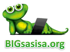 bigsasisa.org