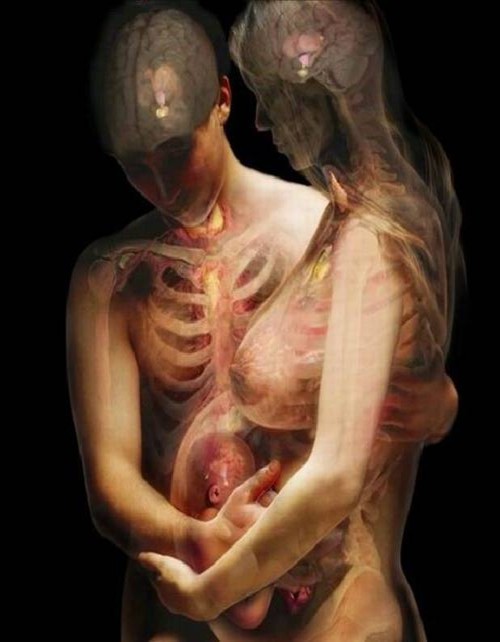 Люди через рентген (8 фото)