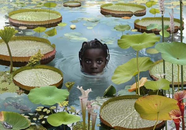   Ruud van Empel (10 )