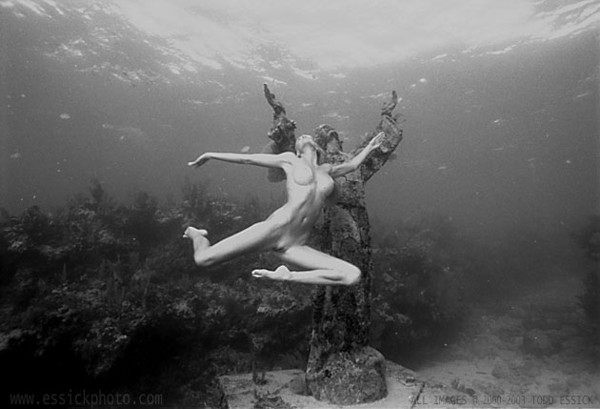 Очень красивые подводные фото от Todd Essickа (11 фото)