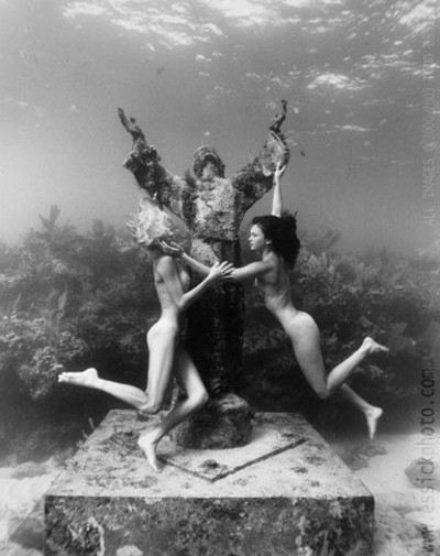 Очень красивые подводные фото от Todd Essickа (11 фото)