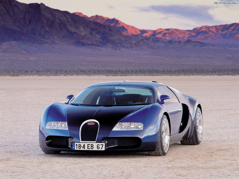 Bugatti Veyron -   ! (4 )