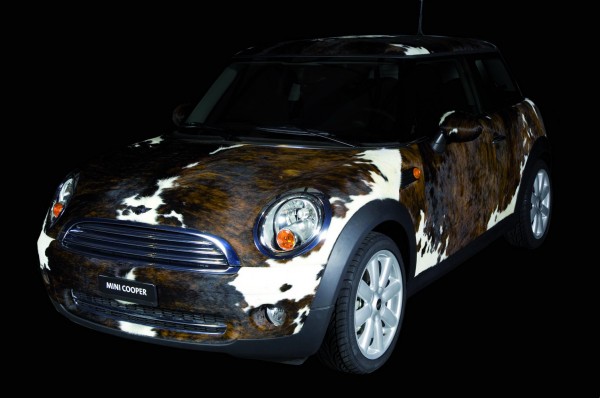 Mini Cooper    (7 )