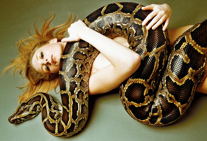 Про змей:) (19 фото)