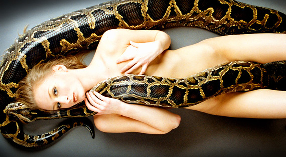 Про змей:) (19 фото)