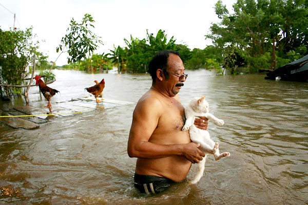 Сильнейшее наводнение в Мексике (11 фото)