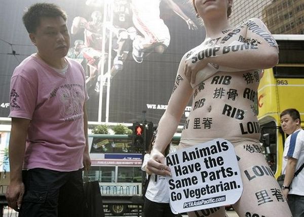 Забавный способ протеста в защиту животных! (6 фото)