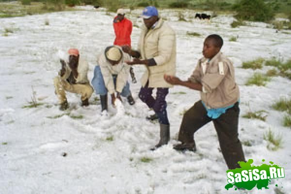 В Кении выпал снег! (7 фото)
