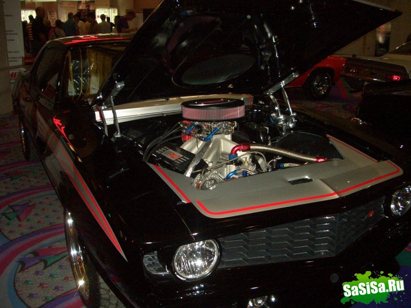   Sema 2008 (20 )