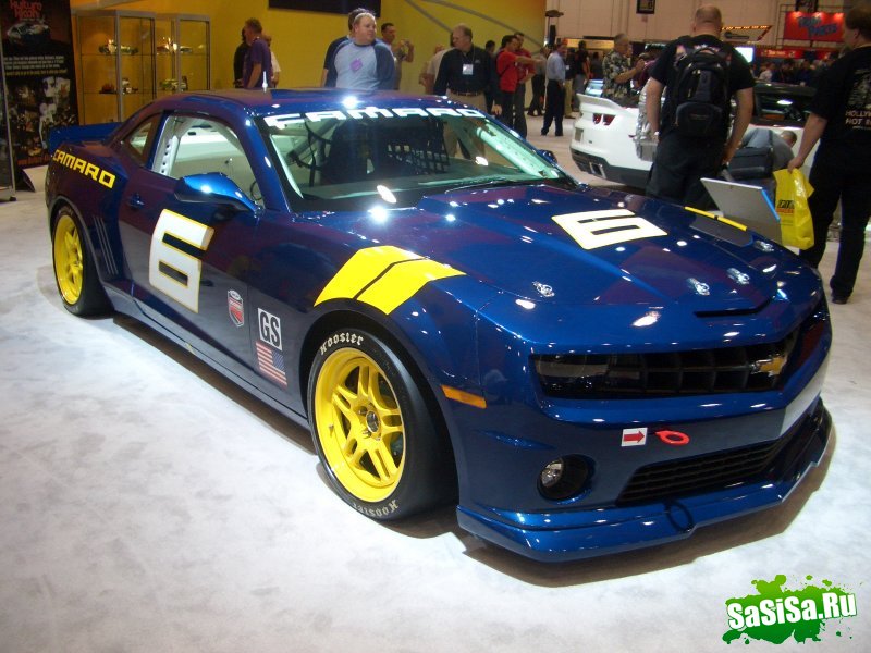   Sema 2008 (20 )