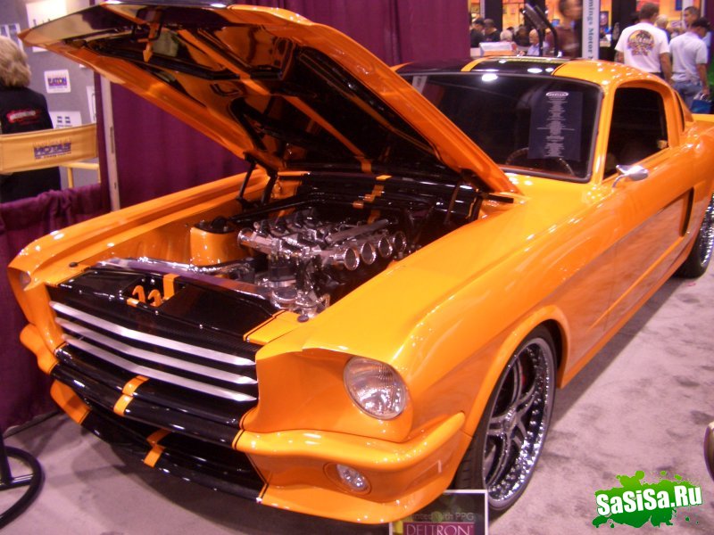   Sema 2008 (20 )