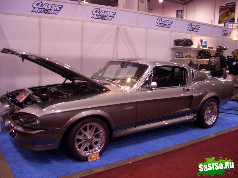   Sema 2008 (20 )