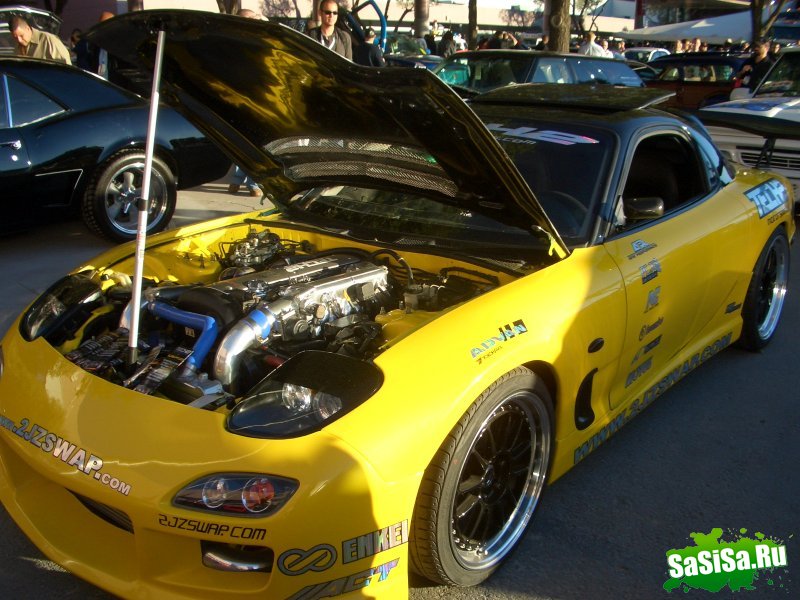   Sema 2008 (20 )