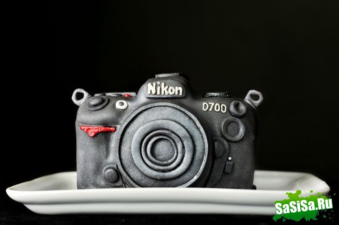     Nikon (5 )