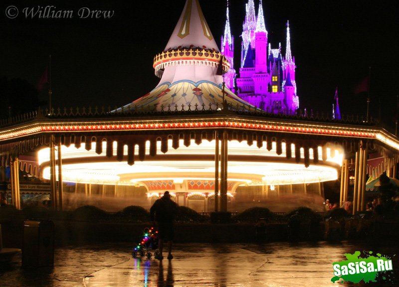   Disney World (17 )