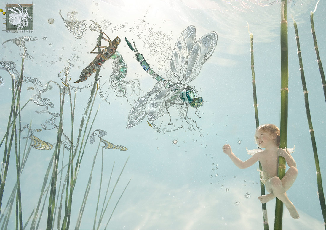 -  Zena HOLLOWAY (24 )