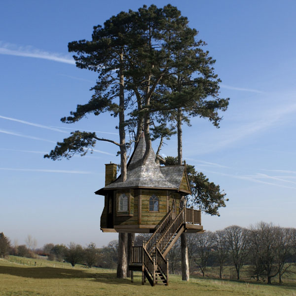     Amazon Tree Houses (14 )