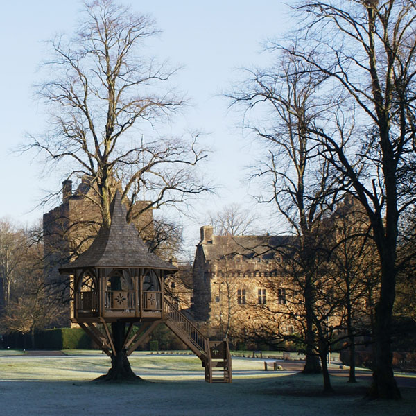     Amazon Tree Houses (14 )