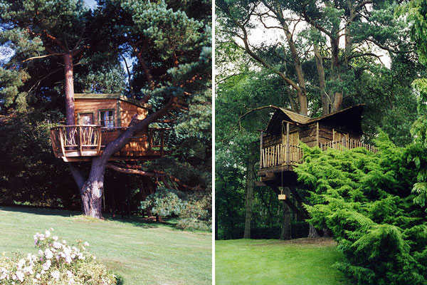     Amazon Tree Houses (14 )