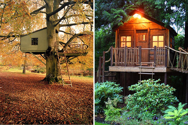     Amazon Tree Houses (14 )