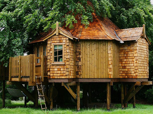     Amazon Tree Houses (14 )