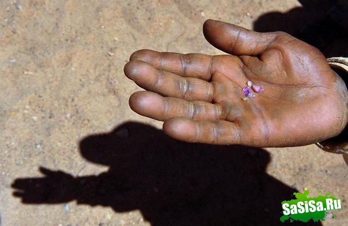 Добыча сапфиров в Мадагаскаре (23 фото)