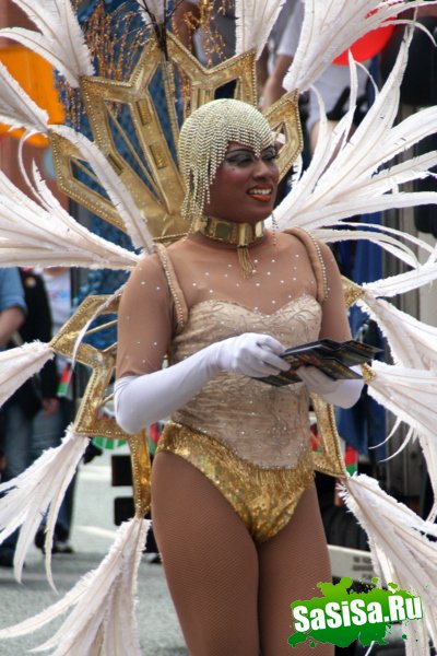 Очередной гей парад 2009 в Америке (18 фото)