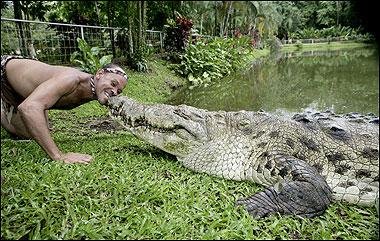 Крокодил – друг человека! (6 фото)