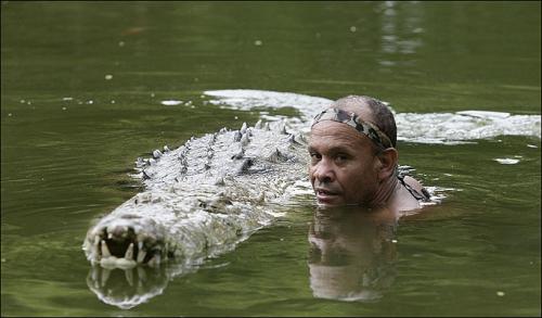 Крокодил – друг человека! (6 фото)