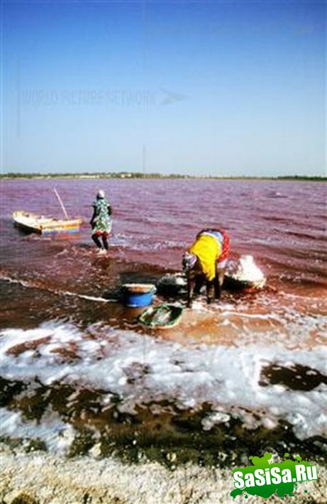 Розовое озеро в Сенегале (19 фото)