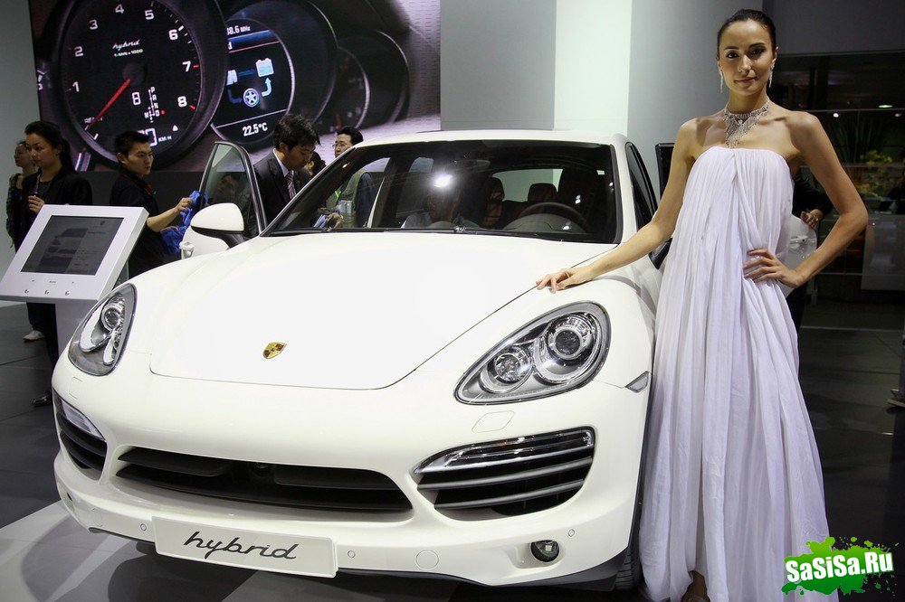  Auto China - 2010 (20 )