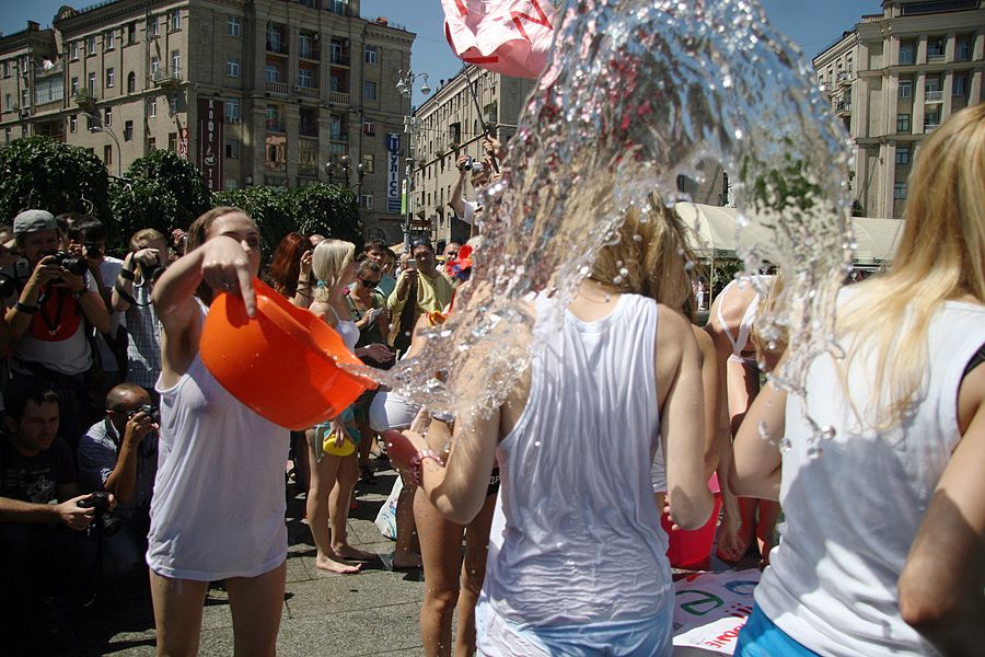 FEMEN   (10 )