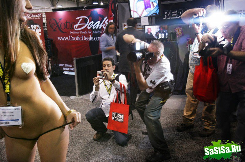   Adult Entertainment Expo (11 )