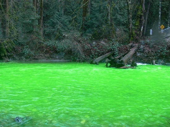 Зеленые реки (4 фото + видео)