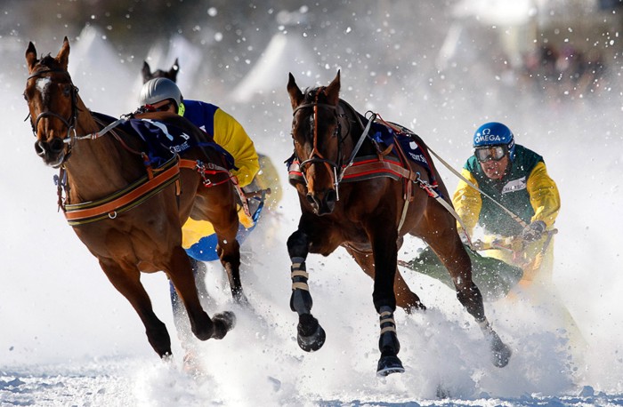 Седлай коня, вставай на лыжи! (11 фото)