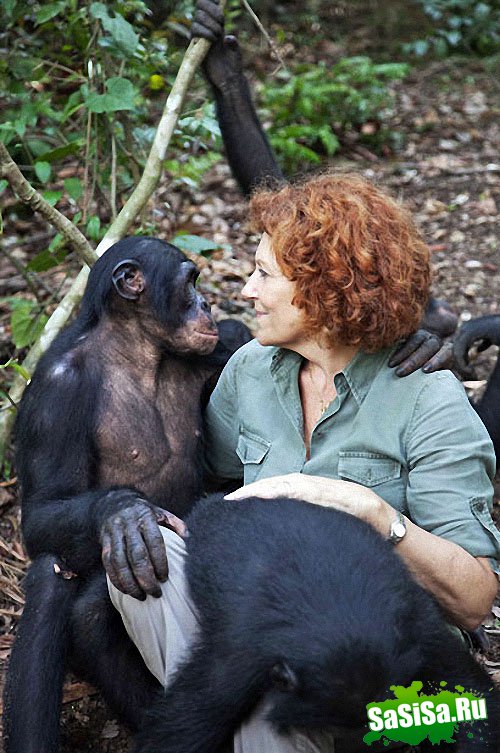  Lola ya Bonobo   (19 )