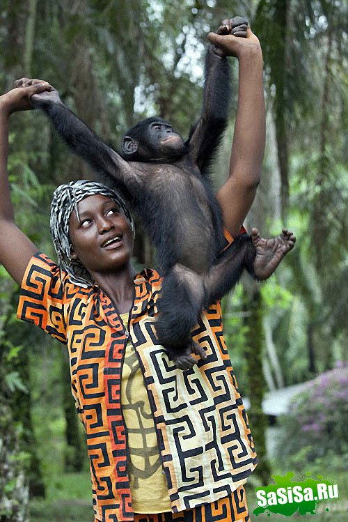  Lola ya Bonobo   (19 )