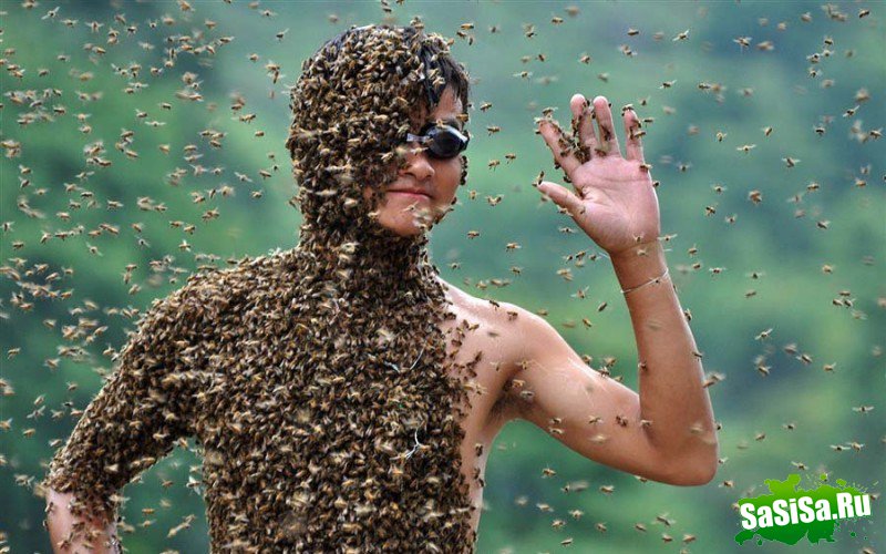 Необычное «пчелиное» состязание в Китае (9 фото)