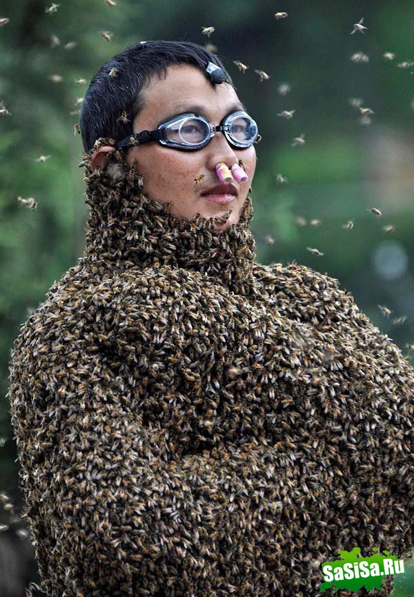 Необычное «пчелиное» состязание в Китае (9 фото)