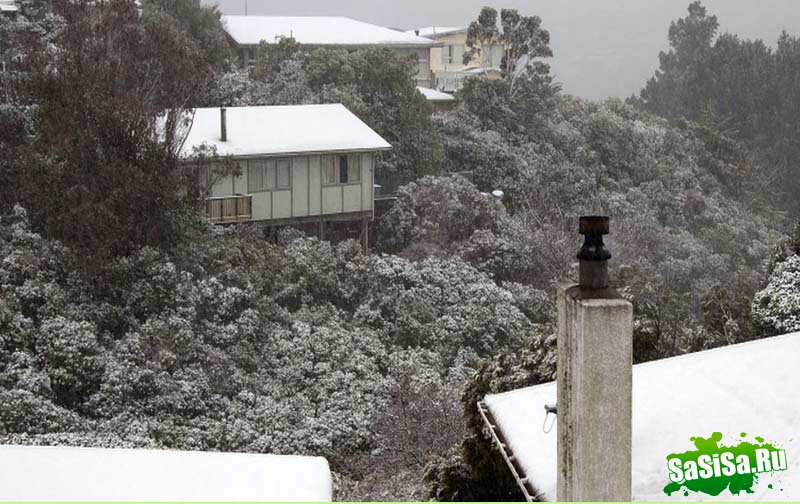 Снег в Новой Зеландии (13 фото)