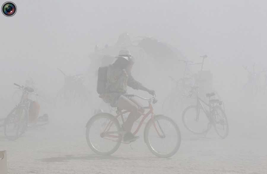  Burning Man-2011 (20 )