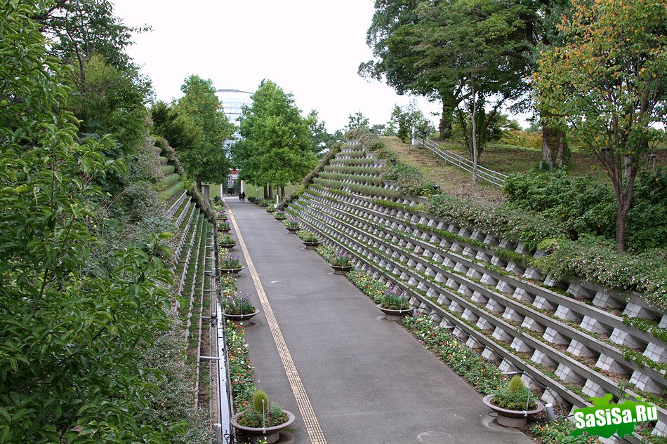 Японский парк цветов Тоттори (25 фото)