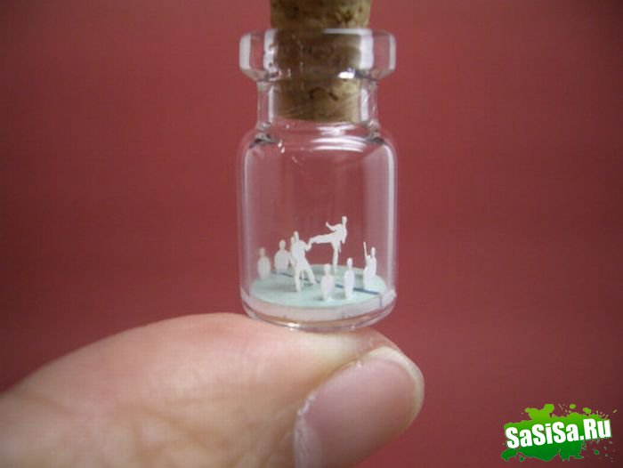 Крошечный мир в миниатюрных бутылках (20 фото)