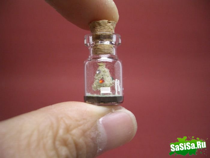 Крошечный мир в миниатюрных бутылках (20 фото)