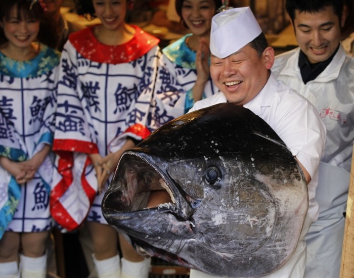 Самый большой в мире тунец пошел под нож в Японии (8 фото)
