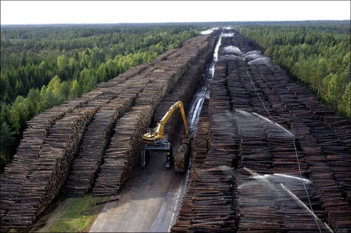 Самое большое в мире хранилище древесины (5 фото)