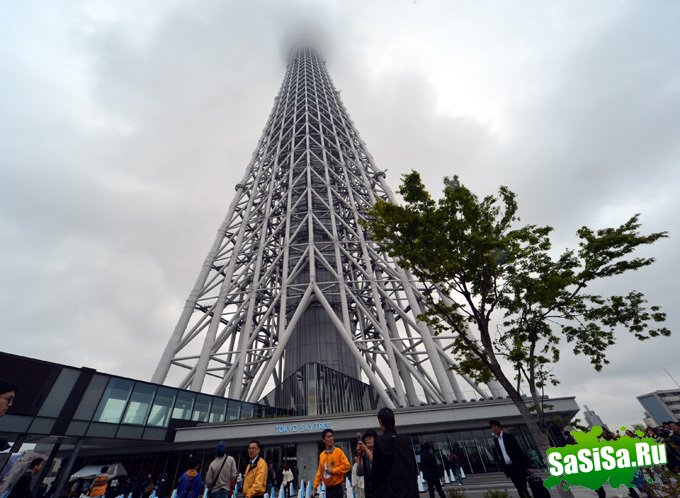      Tokyo Sky Tree (6 )