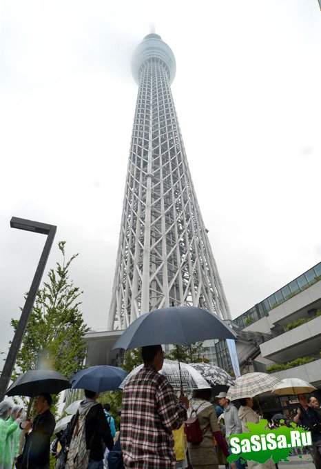      Tokyo Sky Tree (6 )