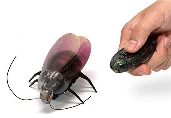 Японцы заводят электронных тараканов (2 фото + видео)