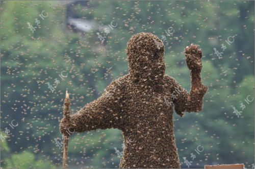 Bee Wearing Contest - соревнование по одеванию в пчёл (6 фото)
